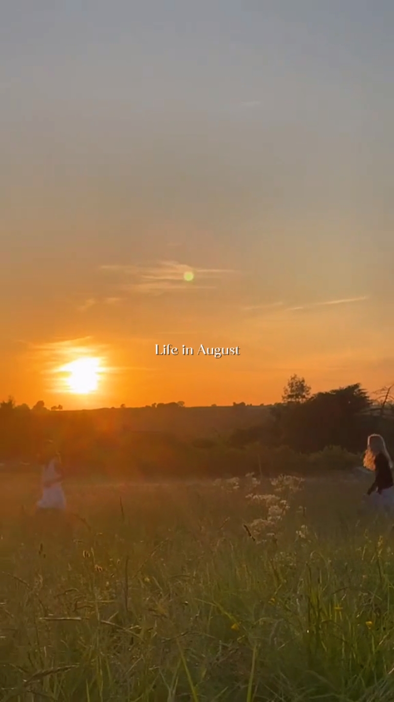 life in august