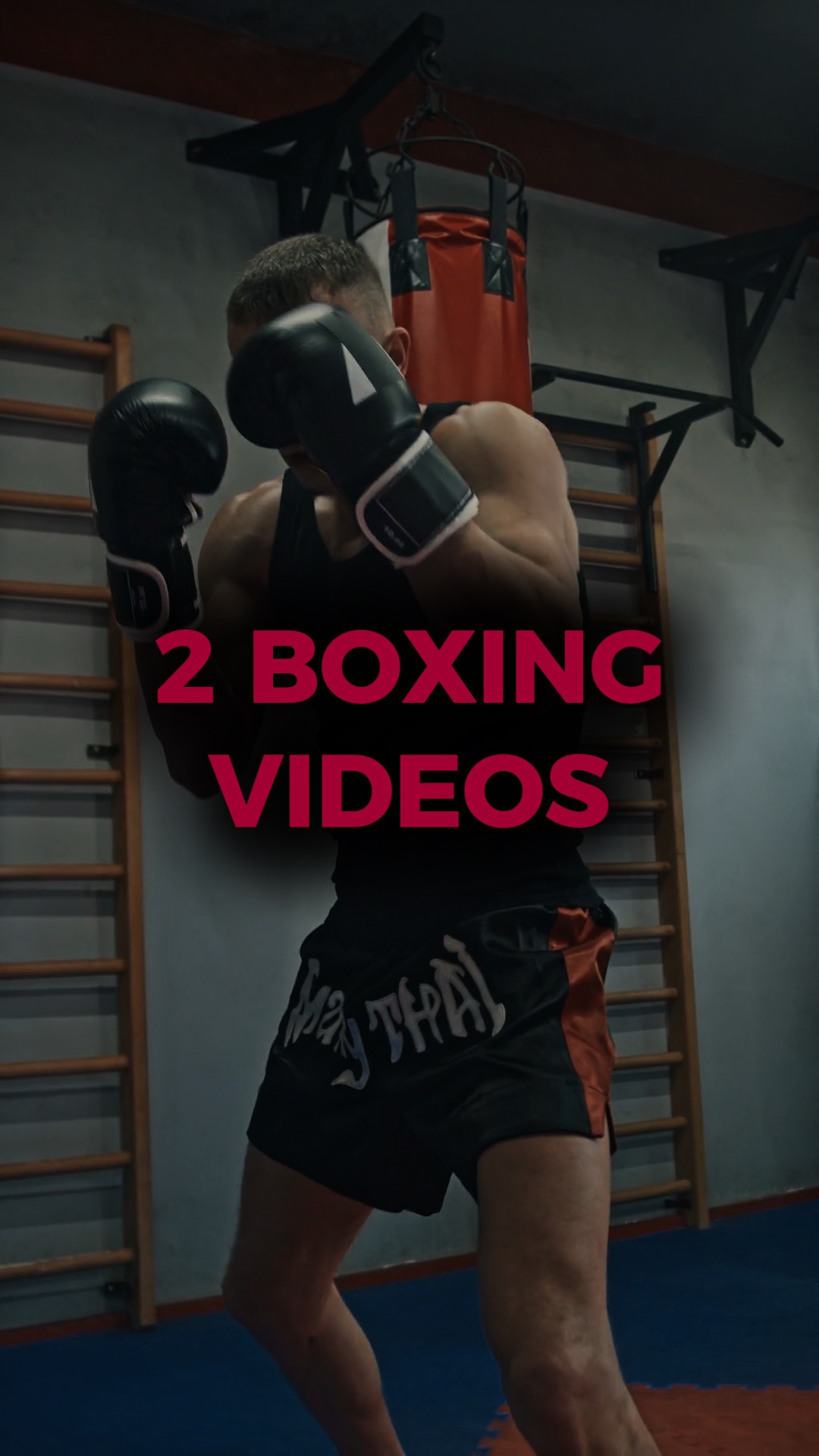 Tendances de la boxe