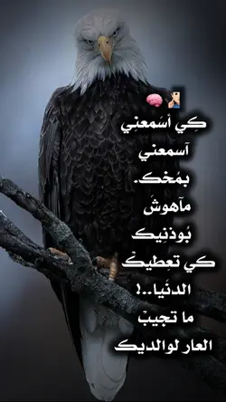 صورتك 0hoto