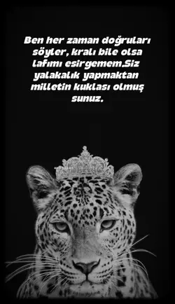 Yeni şablon