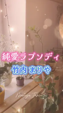 純愛ラプソディ 竹内 まりや