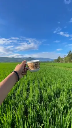 2 video filter cerah