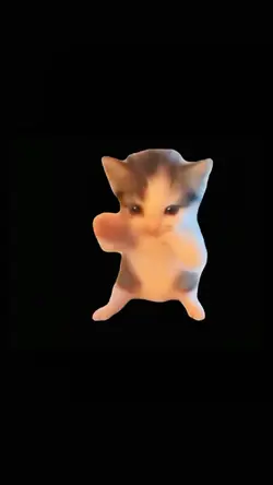 TREND KUCING