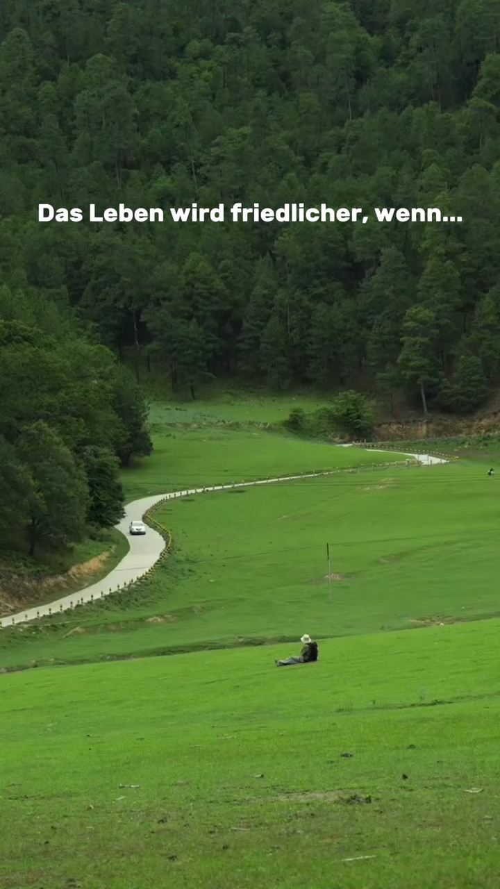 Genieße das Alleinse