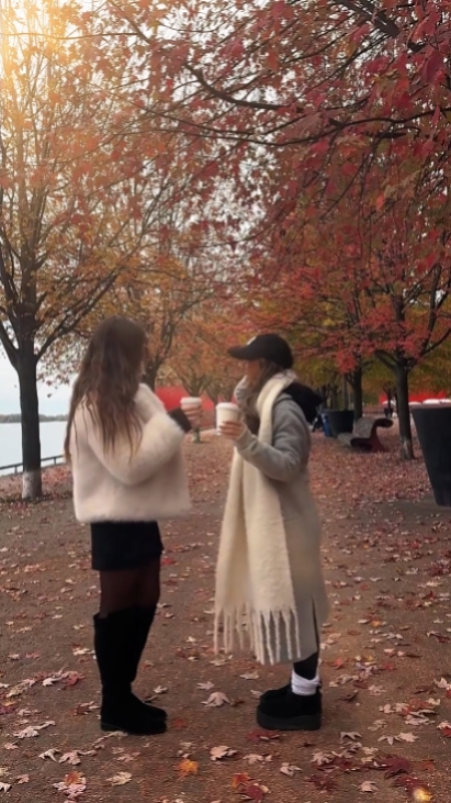 autumn leaves 