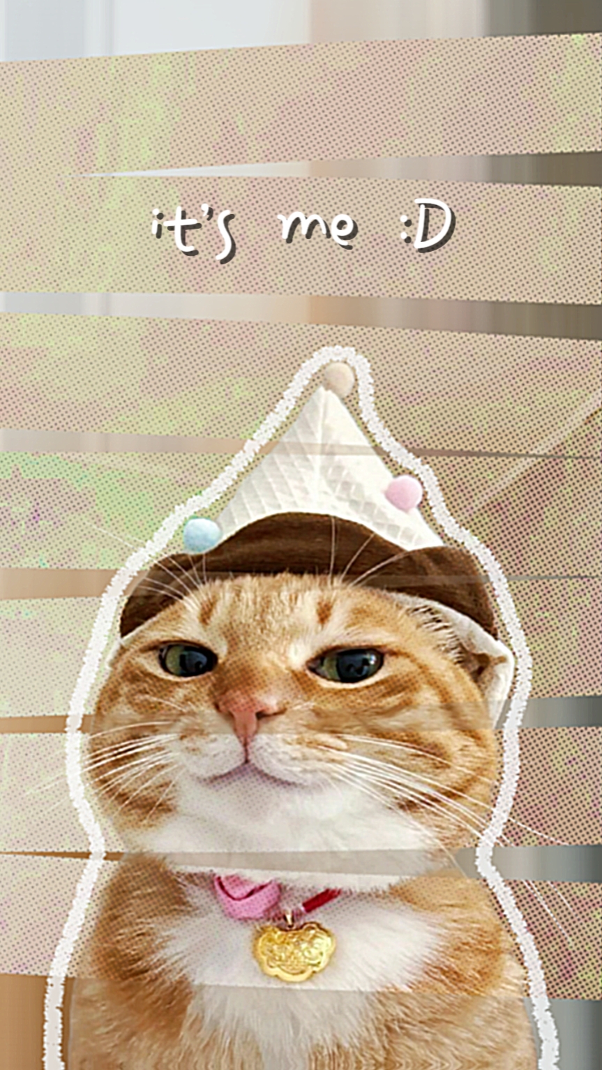 Bonjour, c'est moi