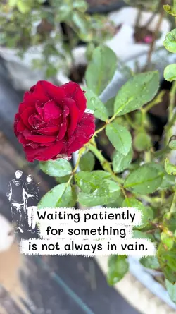 อดทนกับบางอย่างคุ้ม🌹