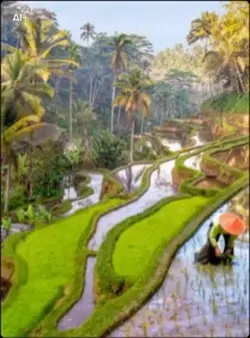 Negara west Bali