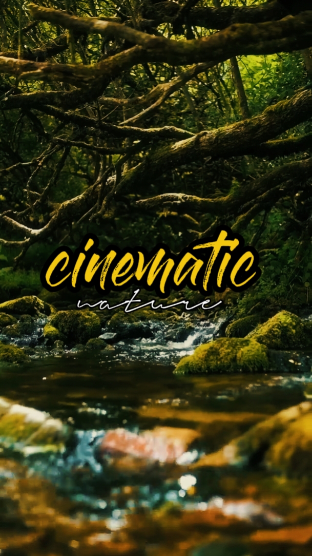 cinematic nature 