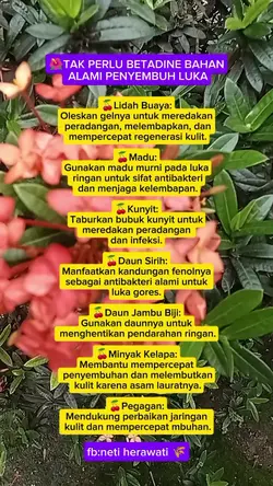 @neti HR