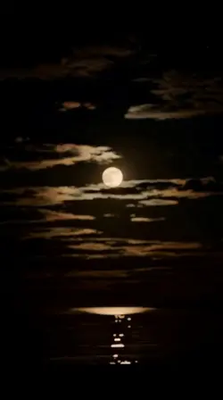 calm dark night