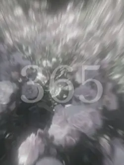 皆さんご卒業おめでとうございますっ!