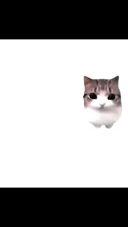 dam dam dam kucing