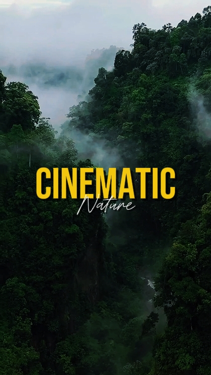 CINEMATIC NATURE