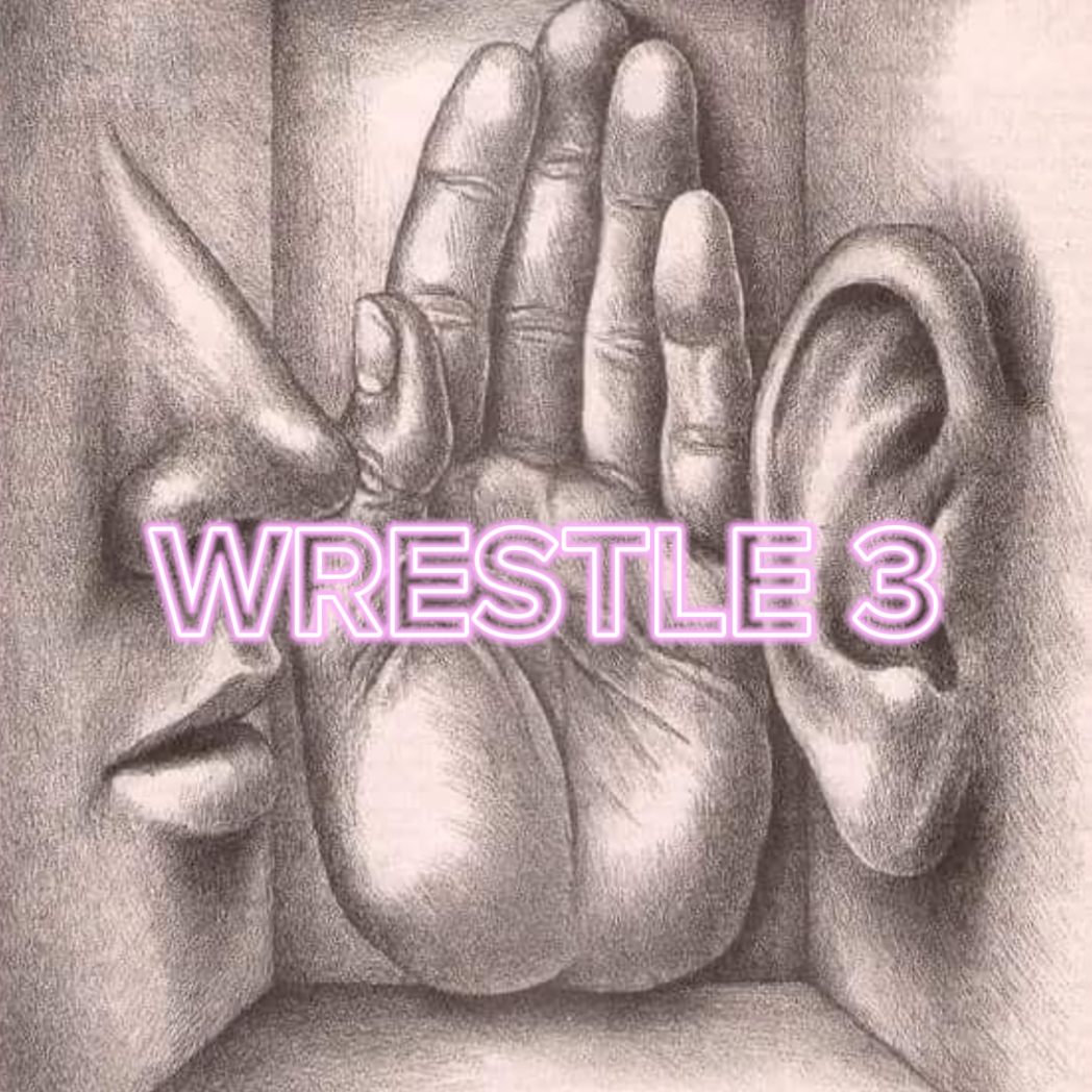 WRESTLE 3!