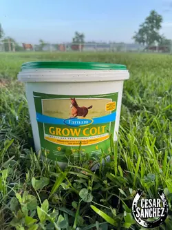 Grow colt