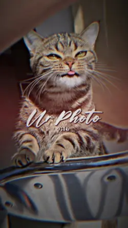 3รูป ฮิตๆ