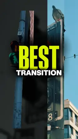 Best Transition 