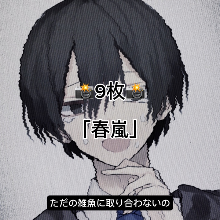 「春嵐」📸9枚で作れます📸