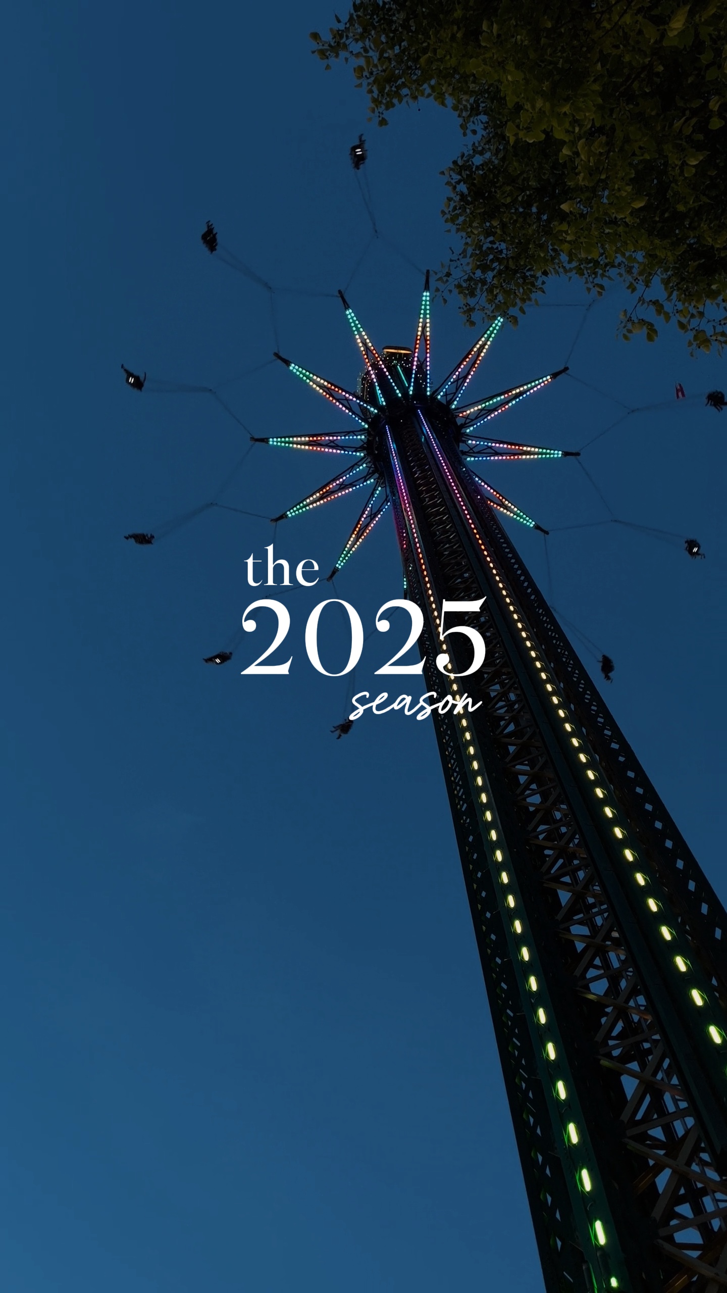 2025 recap 