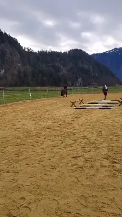 Reiten