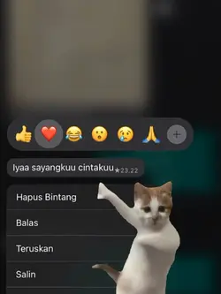 kucing trendd