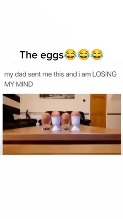 The eggs
