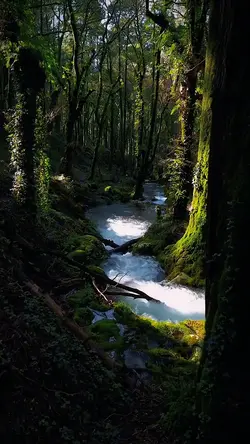 8 video cinematic