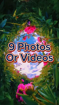 9 Photo Slides