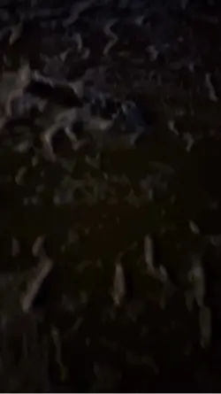 عبد الرحمان مسعد 🫶🕊️