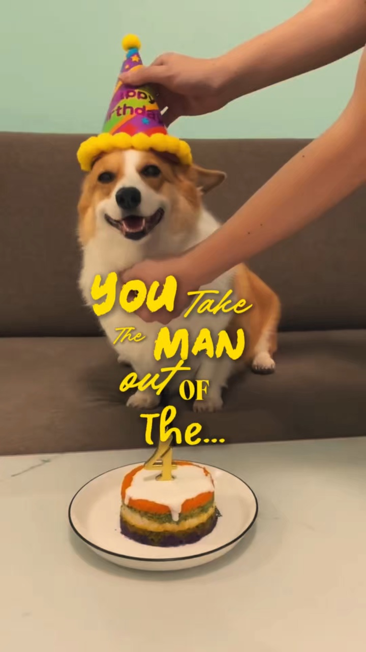 Geburtstag mein Hund