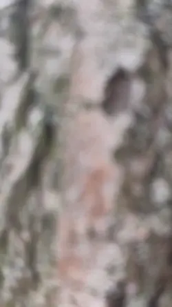 najlepszy szablon ?