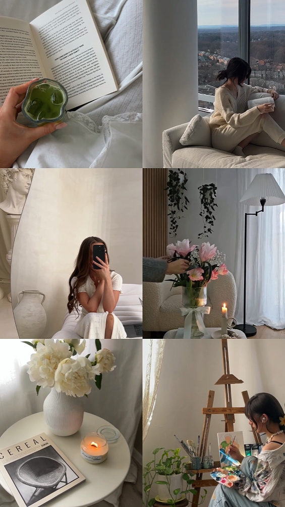 6 clips de video