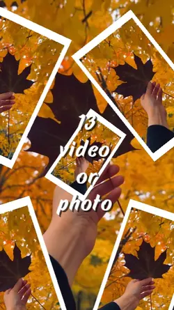 welcome autumn 