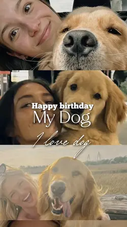 Birthday dog 