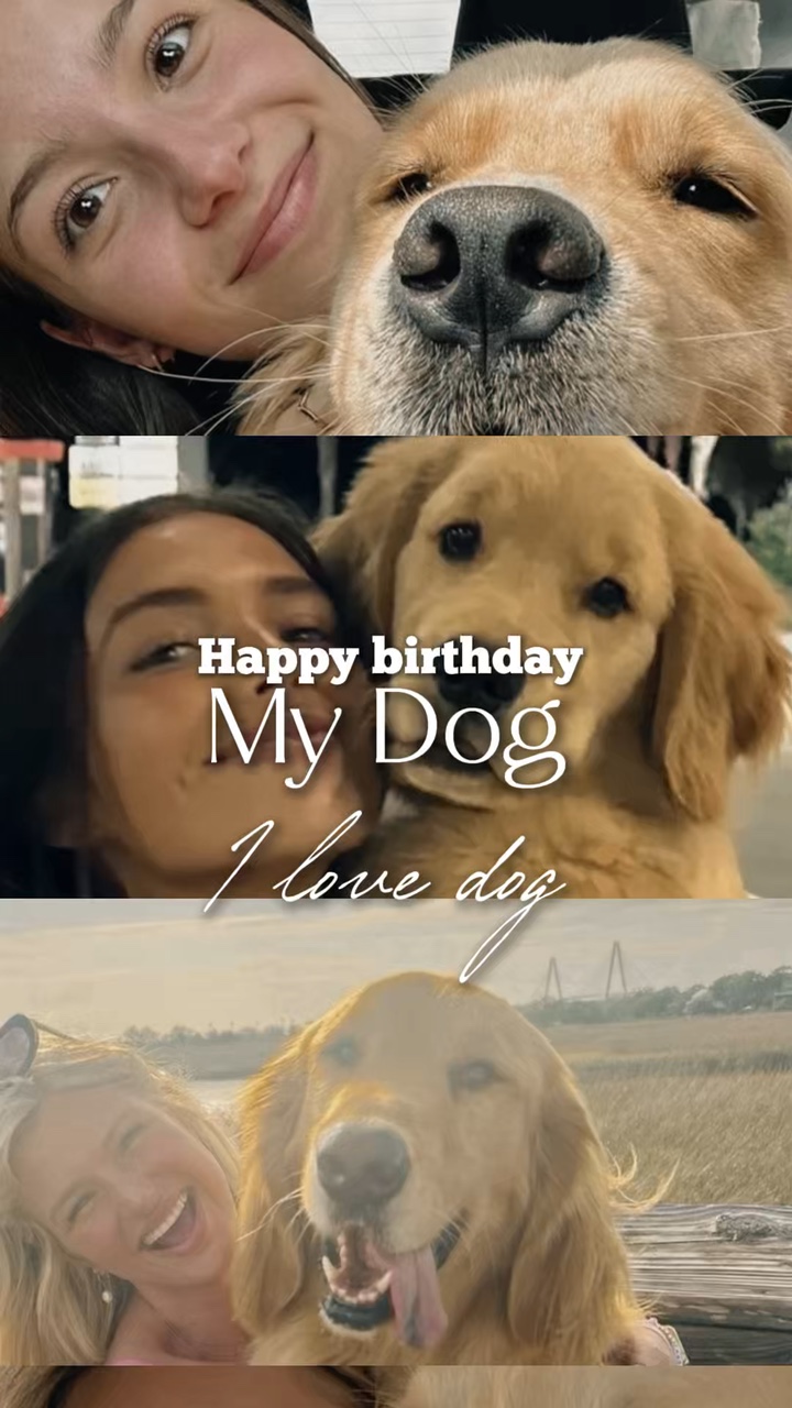 Cachorro de aniversário 