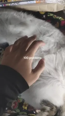 100 problems