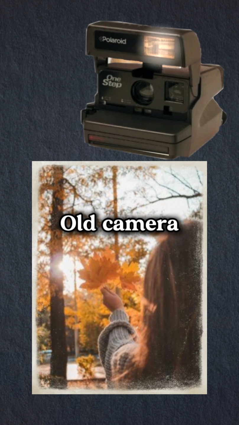 Polaroid