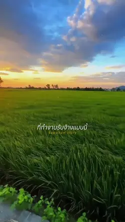 ทำงานรับจ้างอายมั้ย