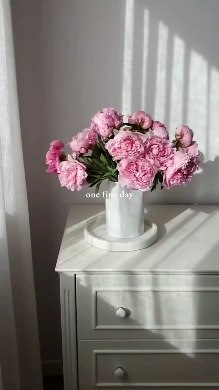 Um belo dia