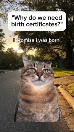 birth certificates