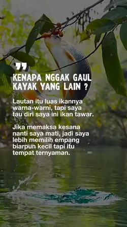 Nasehat diri