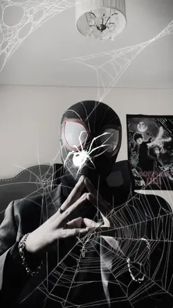 spider