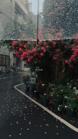 Rain vibes