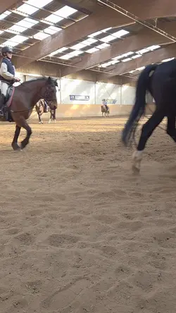 horse slowmo 