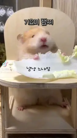 햄스터 먹방