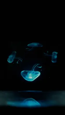3D HOLOGRAM