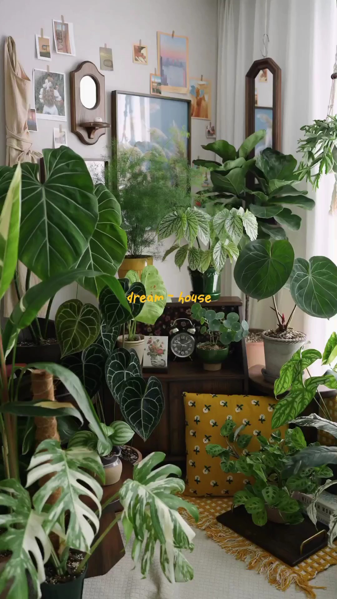 dream house 