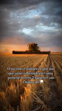 o sucesso é solitá..