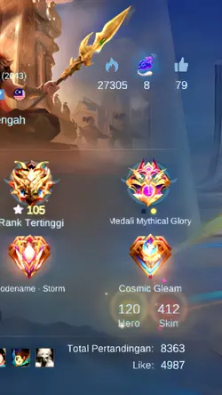 Profil lobby History